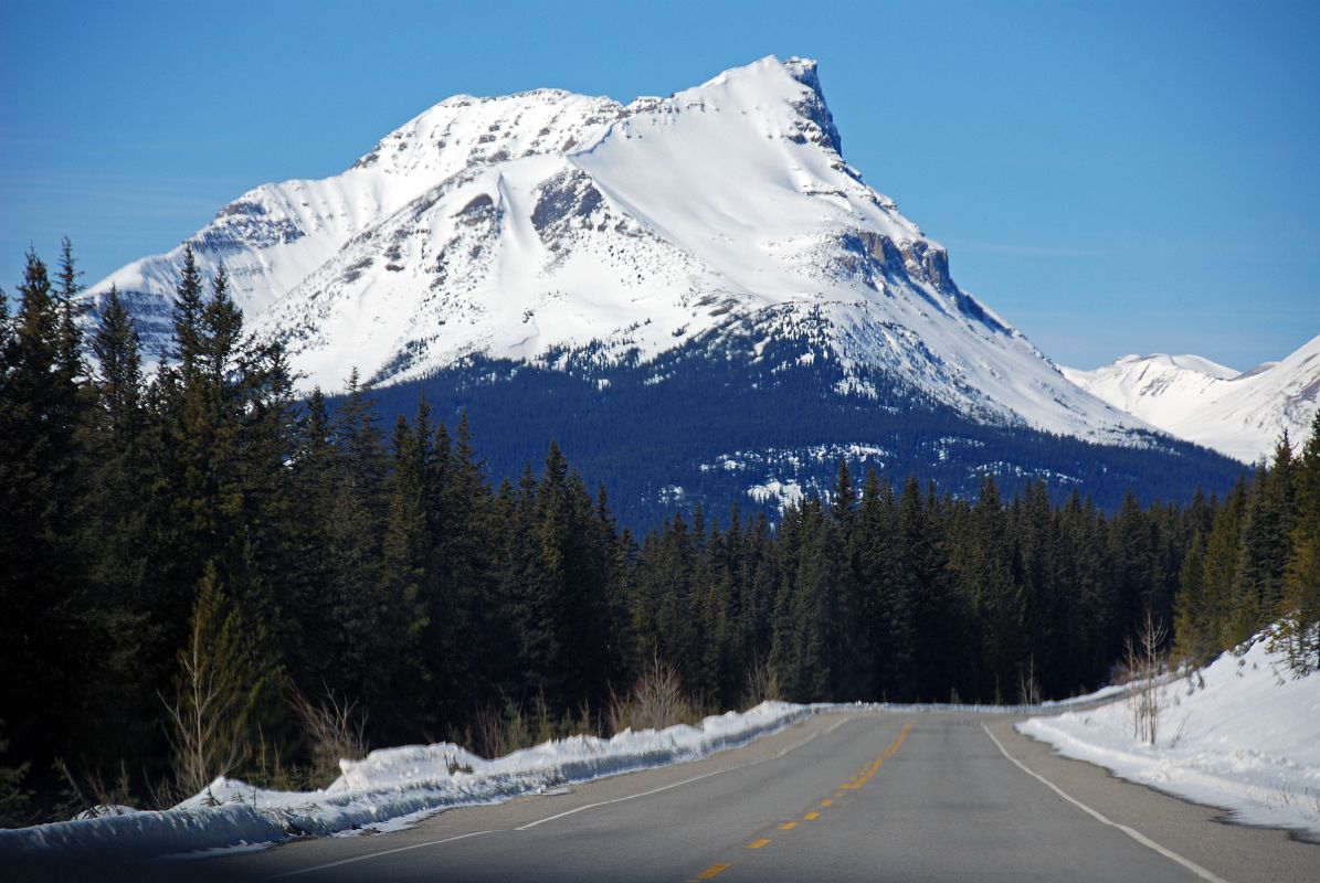 17 Bow Peak From Icefields Parkway